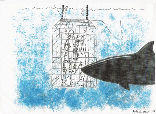 :fr:les_amis:vos_dessins:requin_web2.jpg